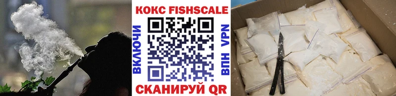 Купить закладки  Борзя  Cocaine 99% 