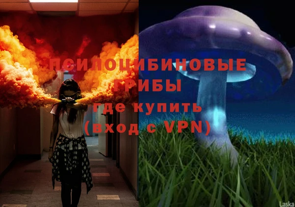 спиды Арсеньев