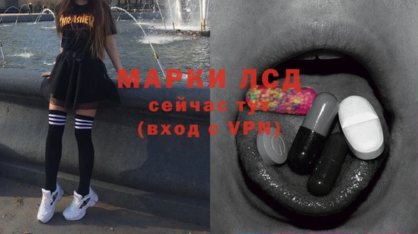 твердый Аркадак