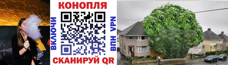 МАРИХУАНА Bruce Banner  Купить закладки  Борзя 